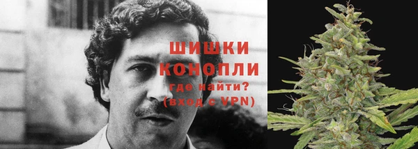 стафф Карталы