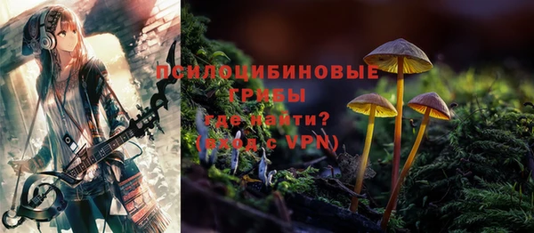 стафф Карталы